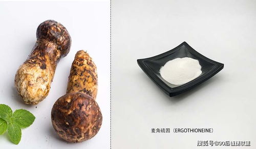 2020 最新植物提取物 化妝品原料 前沿?zé)狳c(diǎn)點(diǎn)評(píng)