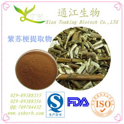 供應紫蘇梗提取物 通江生物 現貨供應 植物提取物 西安廠家 資證齊全