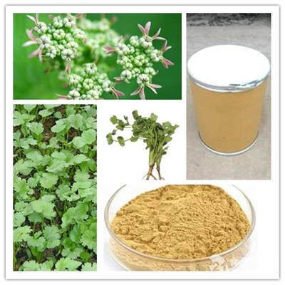 現貨供應香菜提取物_西安_植物提取物-
