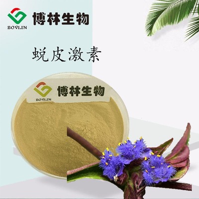 蛻皮激素的天然寶庫 露水草提取物及其應用價值